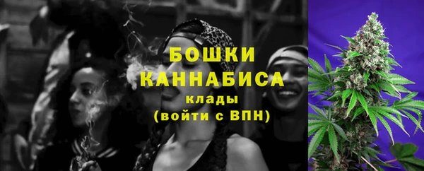 ПСИЛОЦИБИНОВЫЕ ГРИБЫ Каменка