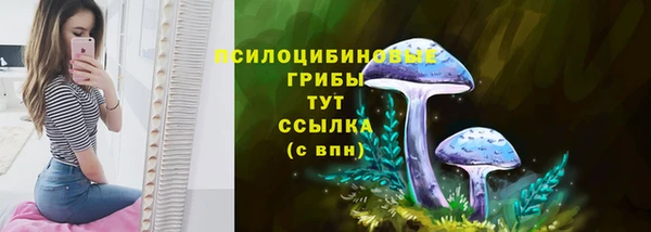 ГАЛЛЮЦИНОГЕННЫЕ ГРИБЫ Каменногорск