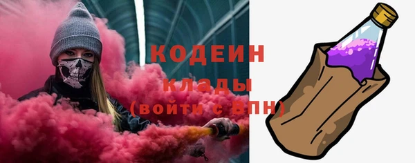 ПСИЛОЦИБИНОВЫЕ ГРИБЫ Каменка