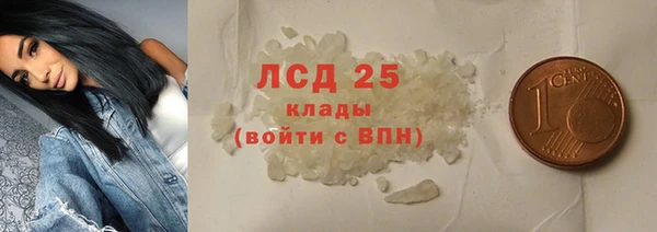 ГАЛЛЮЦИНОГЕННЫЕ ГРИБЫ Каменногорск