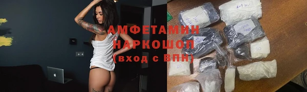 ПСИЛОЦИБИНОВЫЕ ГРИБЫ Каменка