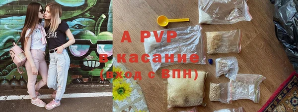 ГАЛЛЮЦИНОГЕННЫЕ ГРИБЫ Каменногорск