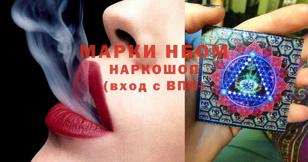 ПСИЛОЦИБИНОВЫЕ ГРИБЫ Каменка