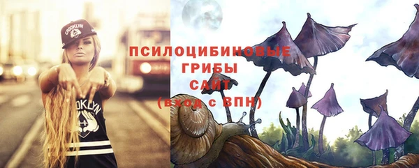 ГАЛЛЮЦИНОГЕННЫЕ ГРИБЫ Каменногорск