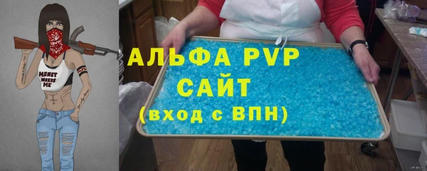 ПСИЛОЦИБИНОВЫЕ ГРИБЫ Каменка